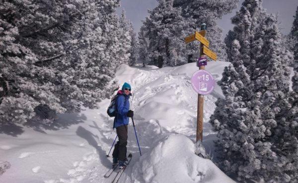 Le Flocon-Studio Cabine-Balcon 4-6 Pers A 100M Des Pistes Chamrousse Exterior photo