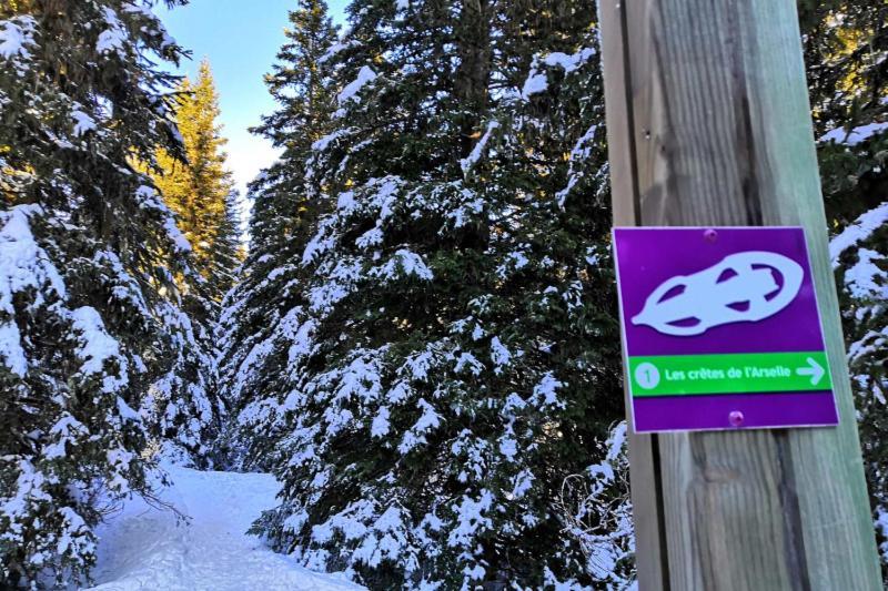 Le Flocon-Studio Cabine-Balcon 4-6 Pers A 100M Des Pistes Chamrousse Exterior photo